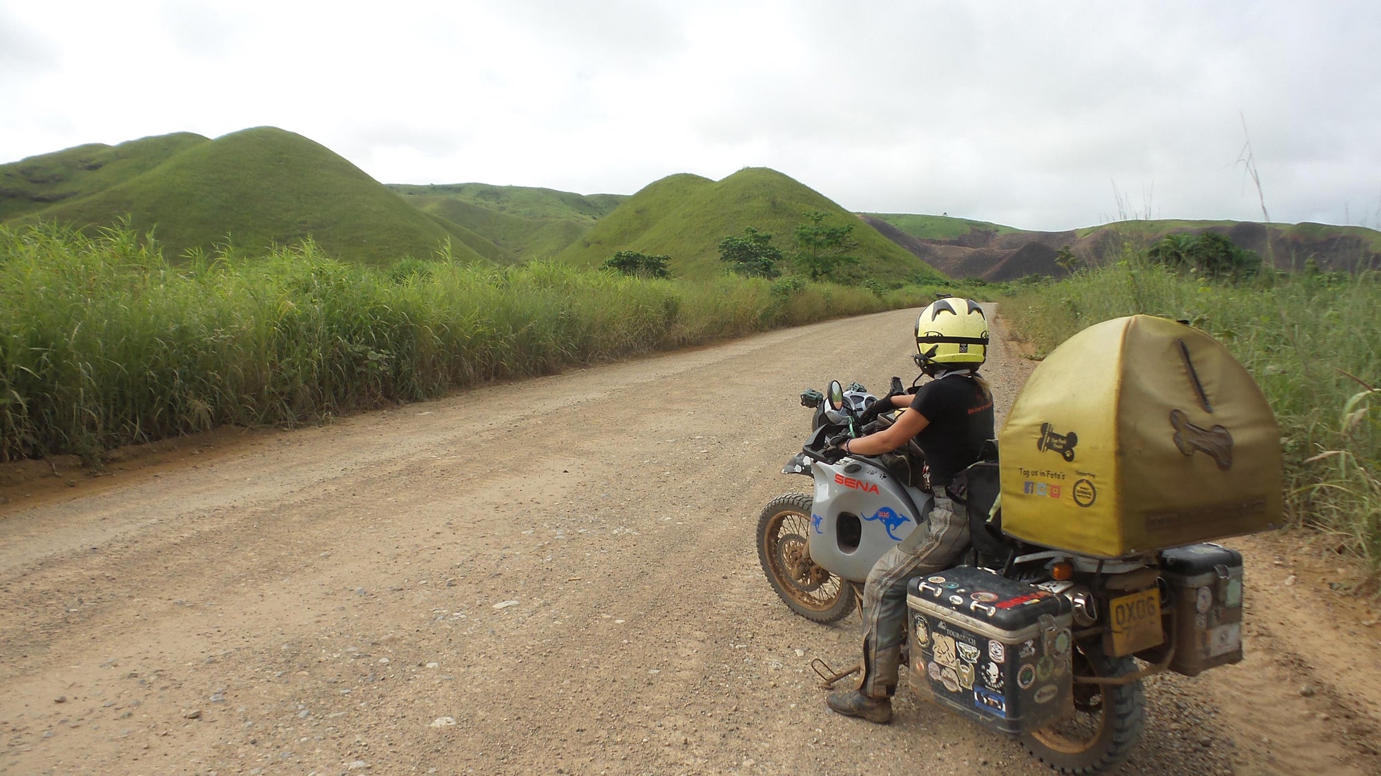 Bongo in the Congo