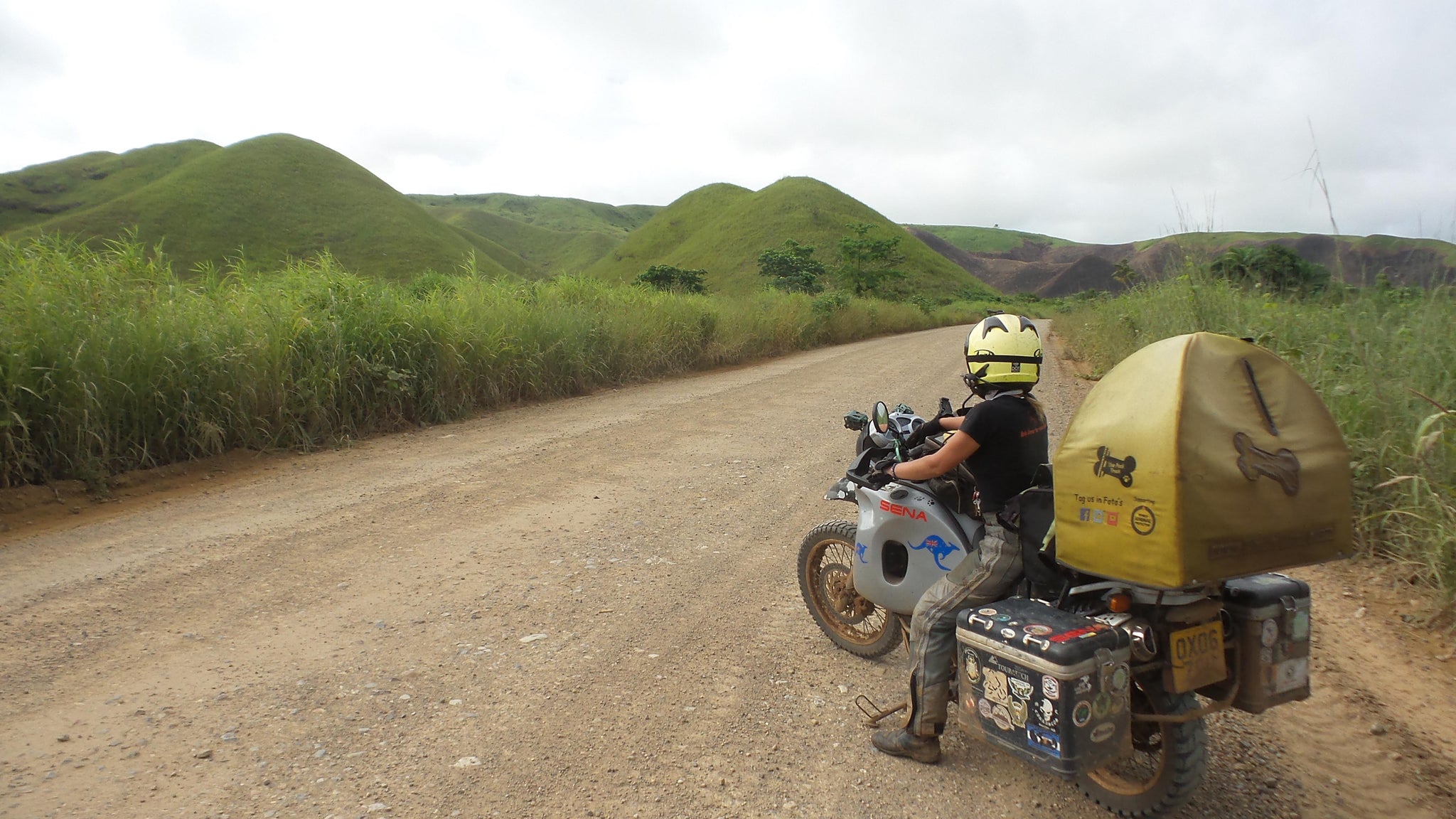 Bongo in the Congo