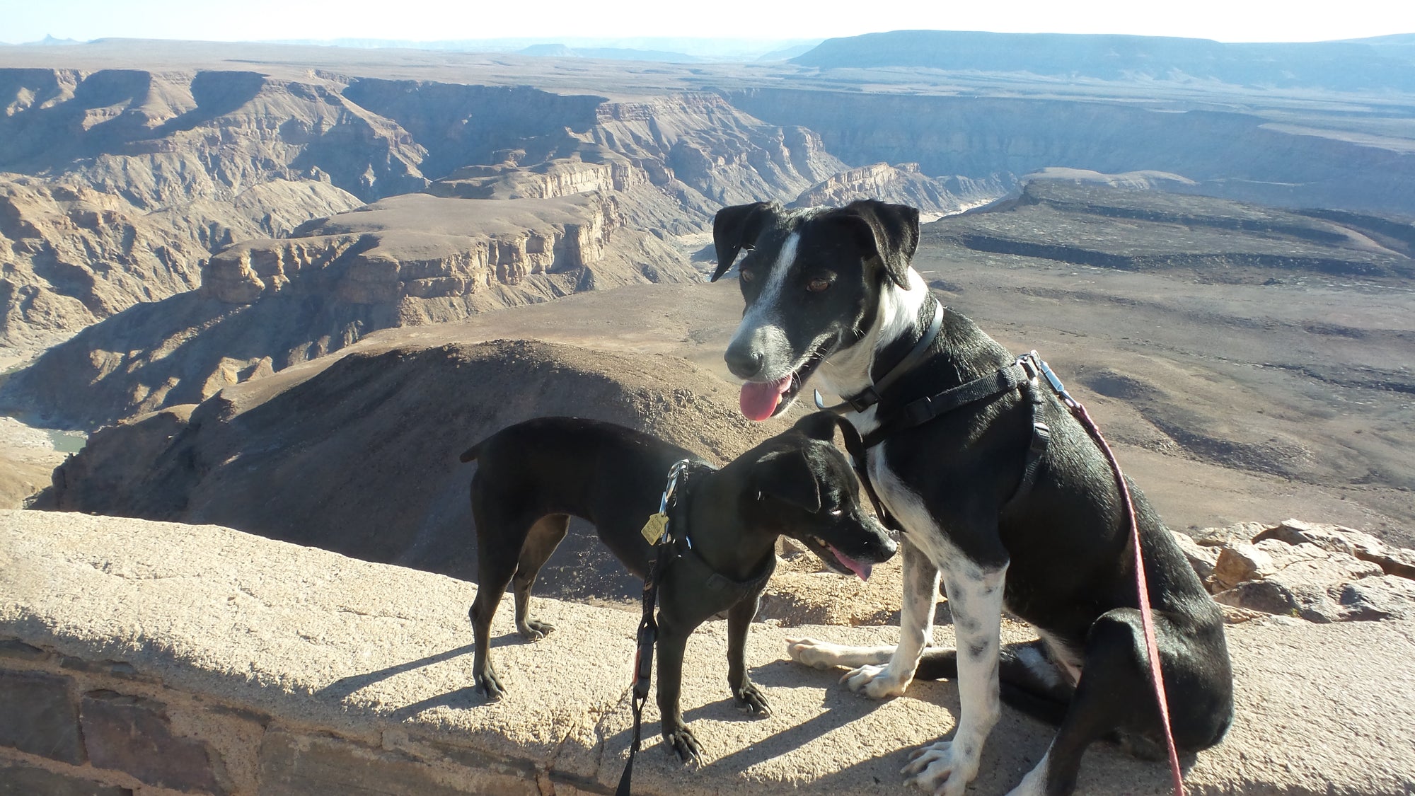 The Pack Track in Namibia enjoying the stunning views of the Fish River Canyon