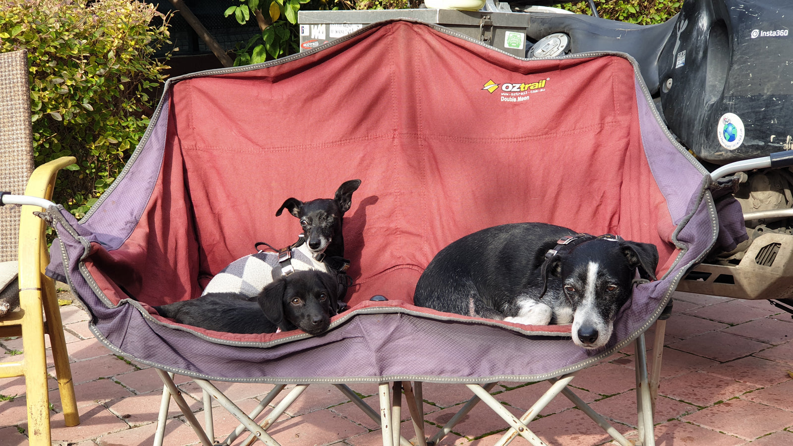 Our 3 girls in Adana, Turkey, 2022